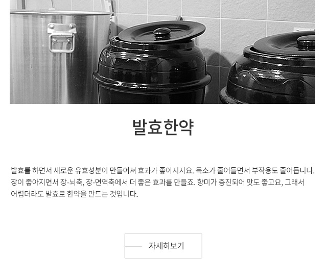 발효한약